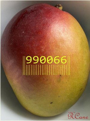 cover image of 990066